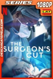 Ases del bisturí (2020) Temporada 1 1080p WEB-DL Latino