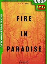 Dragon Ball Super Broly (2018) 1080P X265 Latino – Japones – Ingles