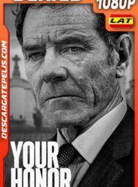 Your Honor (2020) Temporada 1 1080p WEB-DL Latino