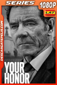 Your Honor (2020) Temporada 1 1080p WEB-DL Latino