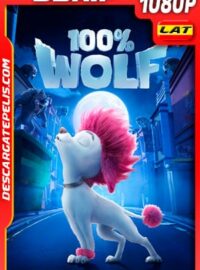 100% Wolf: Pequeño gran lobo (2020) 1080p BDRip Latino
