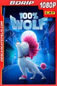 100% Wolf: Pequeño gran lobo (2020) 1080p BDRip Latino