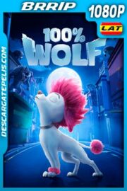 100% Wolf: Pequeño gran lobo (2020) 1080p BRRip Latino