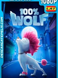 100% Wolf: Pequeño gran lobo (2020) 1080p BRRip Latino