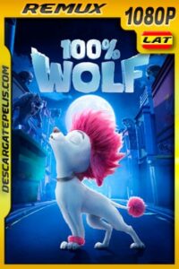 100% Wolf: Pequeño gran lobo (2020) 1080p Remux Latino