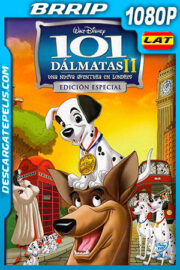 101 dálmatas II: Una aventura en Londres (2003) 1080p BRRip Latino