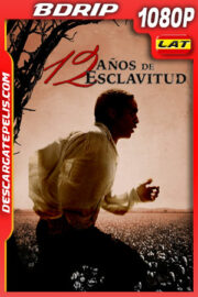 12 años de esclavitud (2013) 1080p BDrip Latino