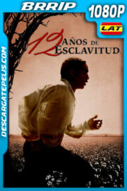 12 años de esclavitud (2013) 1080p BRrip Latino