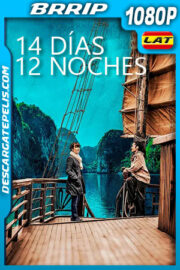 14 días 12 noches (2019) 1080p BRRip Latino