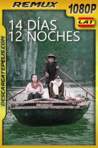14 días 12 noches (2019) 1080p Remux Latino