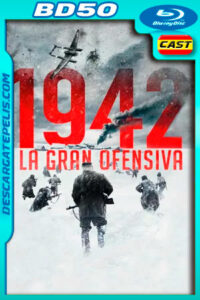 1942: La gran ofensiva (2019) 1080p BD50