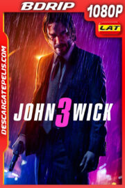 John Wick 3: Parabellum (2019) 1080p BDrip Latino