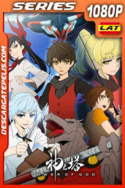 Tower of God Temporada 1 (2020) 1080p WEB-DL Latino