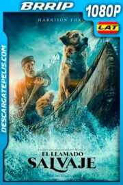 El llamado salvaje (2020) 1080p BRrip Latino – Ingles