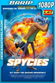 Spycies (2020) 1080P BRRIP Latino – Ingles