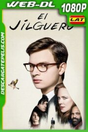 El jilguero (2019) HD 1080p WEB-DL Latino – Ingles