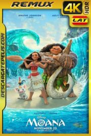 The Stranded (2019) 1080p WEB-DL Latino – Ingles