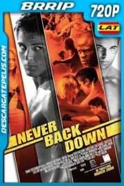 Rompiendo las reglas 2008 720p BRrip Latino – Inglés