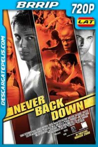 Rompiendo las reglas 2008 720p BRrip Latino – Inglés