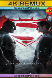 Batman vs Superman. Dawn of justice 2016 v.EXT BD4K Remux Latino – Inglés