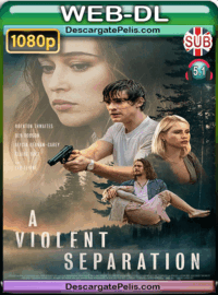 A violent separation 2019 1080p WEB-DL Subtitulado