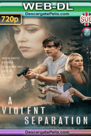 A violent separation 2019 720p WEB-DL Subtitulado