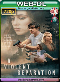 A violent separation 2019 720p WEB-DL Subtitulado