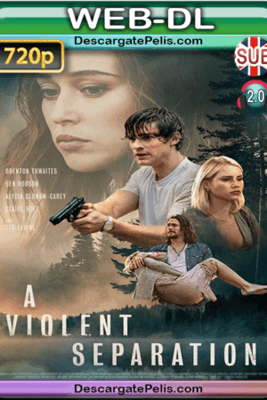 A violent separation 2019 720p WEB-DL Subtitulado