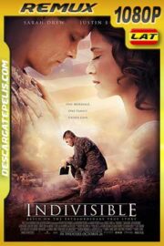 Indivisible 2018 BDRemux Latino – Inglés