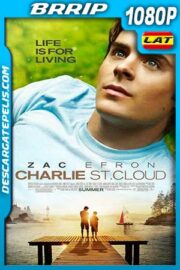 Más allá del cielo 2010 1080p BRrip Latino – Inglés