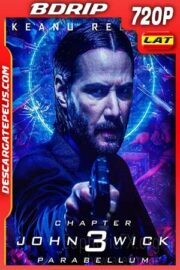 John Wick. Parabellum 2019 720p BDrip Latino – Inglés