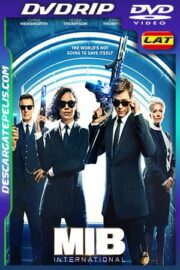 Hombres de negro internacional 2019 DVDrip Latino