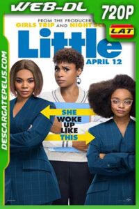 Pequeño gran problema 2019 720p WEB-DL Latino – Inglés