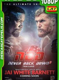 Rompiendo las reglas 3 2016. No Surrender m1080p WEB-DL Latino – Inglés