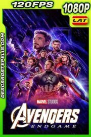 Avengers Endgame (2019) 1080p BDrip 120fps Latino – Ingles