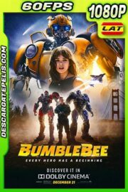 Bumblebee (2018) 1080P 60 FPS Latino – Ingles