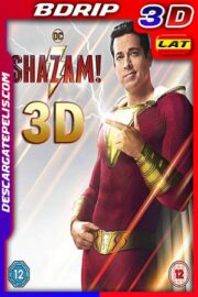 ¡Shazam! (2019) BDrip 3D SBS 1080p Latino – Ingles