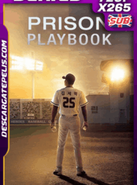 Prison Playbook S01(2017) X265 Web Dl 720p Coreano