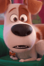 La vida secreta de tus mascotas 2 2019 1080p BDrip Latino – Inglés