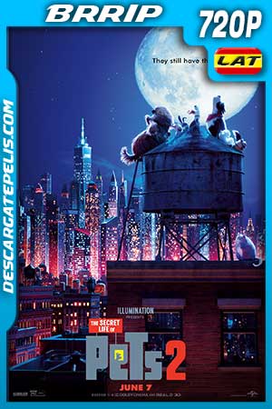 Descargar poster La vida secreta de tus mascotas 2 2019 720p BRrip Latino - Inglés
