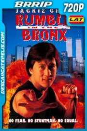 Masacre en Nueva York 1995 720p BRrip Latino – Inglés