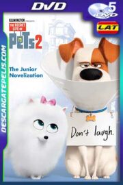 La vida secreta de tus mascotas 2 2019 DVD5 Latino