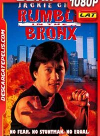 Masacre en Nueva York 1995 1080p BDrip Latino – Inglés