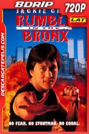 Masacre en Nueva York 1995 720p BDrip Latino – Inglés