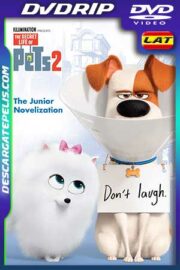 La vida secreta de tus mascotas 2 2019 DVDrip Latino