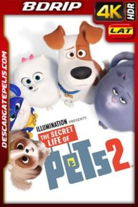 La vida secreta de tus mascotas 2 2019 4K BDrip Latino – Inglés