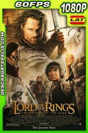 Vagabond (2019) 1080p WEB-DL  Latino – Koreano