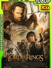 Vagabond (2019) 1080p WEB-DL  Latino – Koreano