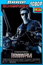 Terminator 2. El juicio final 1991 v.EXT 1080p BRrip Latino – Inglés