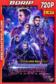 Vengadores. Endgame 2019 720p BDrip Latino – Inglés